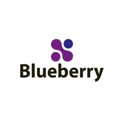 Obraz producenta Blueberry Software
