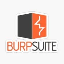 Thumb for Burp Suite Professional