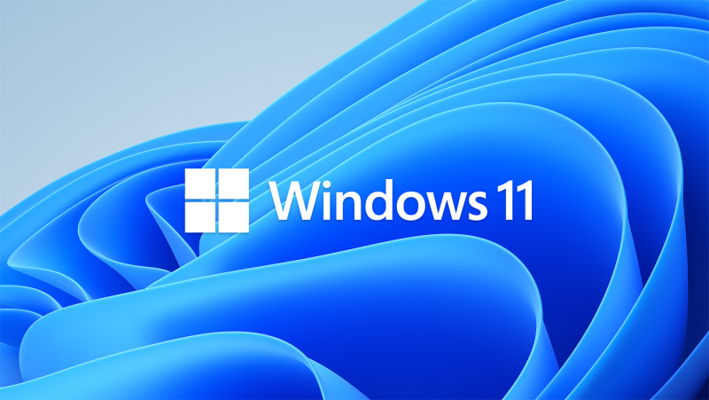 windows11_pl.png